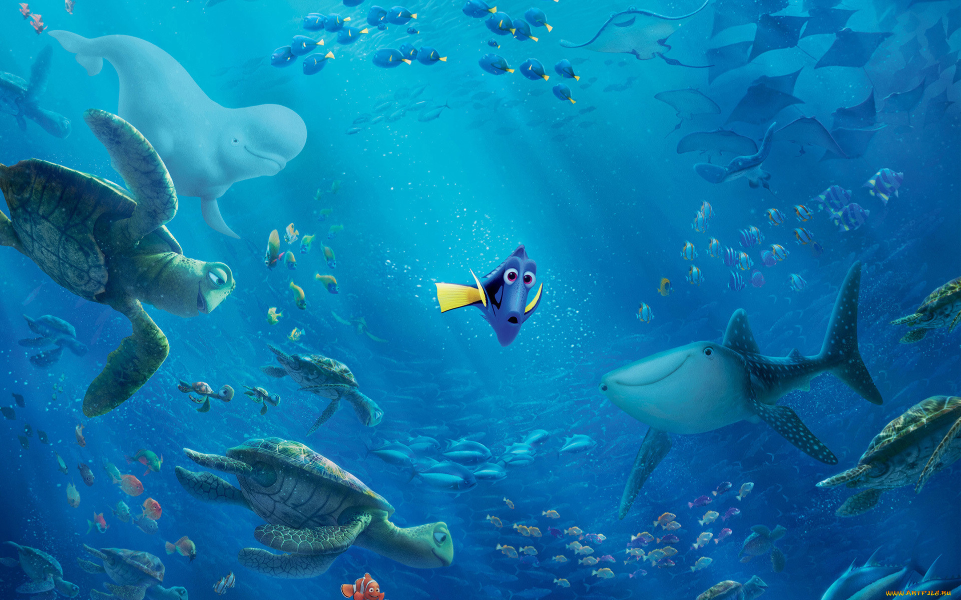 , finding dory, finding, dory, pixar, disney